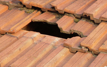 roof repair Heggle Lane, Cumbria